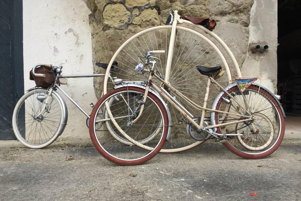Tour De France Historique Et Chateaux De Loire Orléans Eksteriør bilde